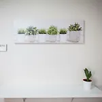 Апартаменты Loft Azahar Y Loft Begonia